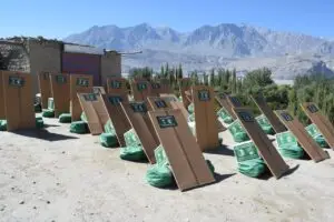 WhatsApp Image 2025-09-15 at 11.41.35 AM (1)